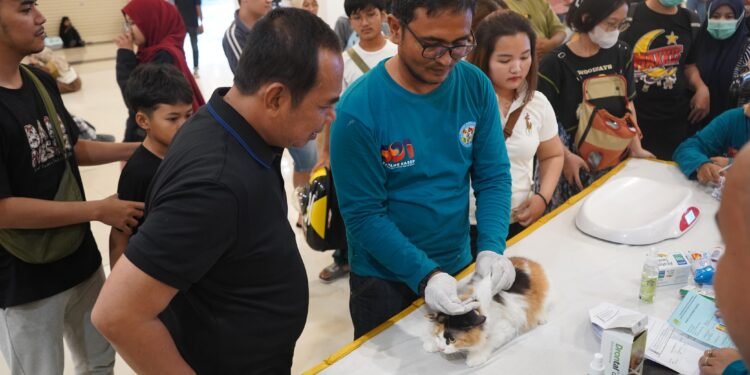Pemkab Karawang Melalui DPKP Karawang Gelar  391 Dosis  Vaksin Rabies Gratis  Bareng Komunitas Pecinta Kucing
