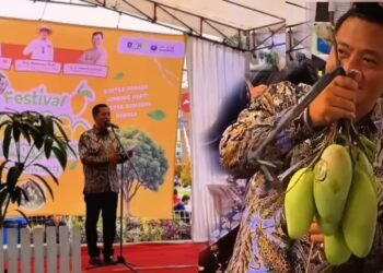 Bupati  Aep Syaepuloh :  Apresiasi Kadistanak Buah Mangga Bakal Jadi Andalan Petani Holti Karawang